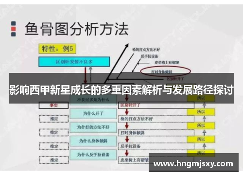影响西甲新星成长的多重因素解析与发展路径探讨