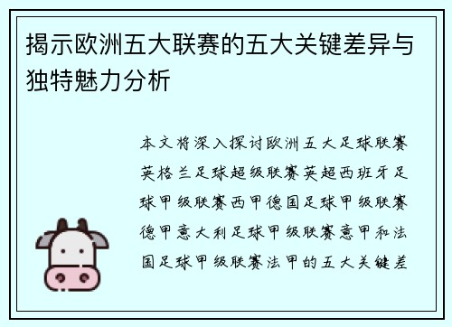 揭示欧洲五大联赛的五大关键差异与独特魅力分析