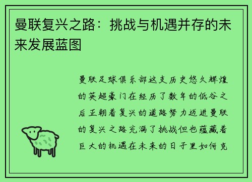 曼联复兴之路：挑战与机遇并存的未来发展蓝图