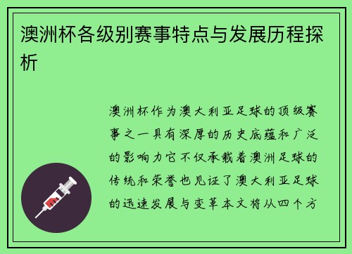 澳洲杯各级别赛事特点与发展历程探析