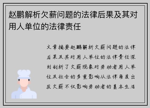 赵鹏解析欠薪问题的法律后果及其对用人单位的法律责任